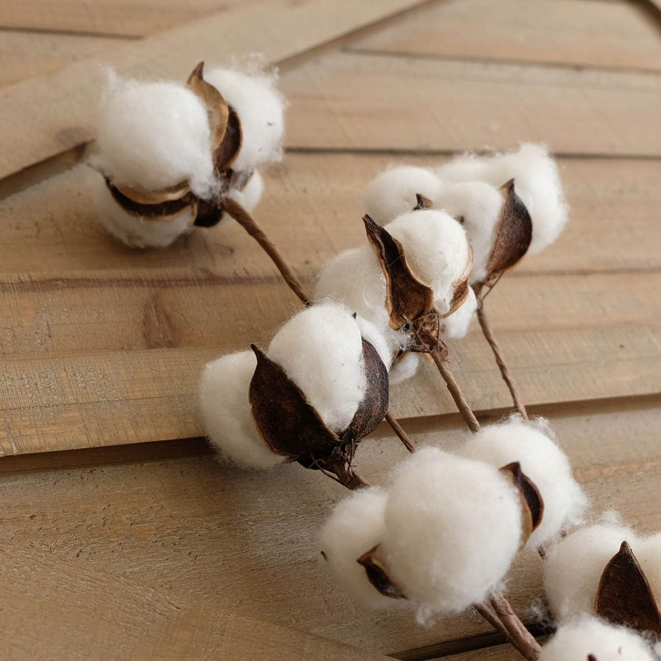 Cotton Stems Decor Branches, Cotton Flowers Plants for Decorations, Dried Flowers for Vase, Pack of 6-31 Inches Tall - 12 Bolls per Stem