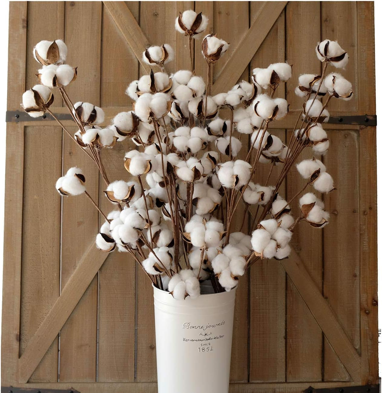 Cotton Stems Decor Branches, Cotton Flowers Plants for Decorations, Dried Flowers for Vase, Pack of 6-31 Inches Tall - 12 Bolls per Stem