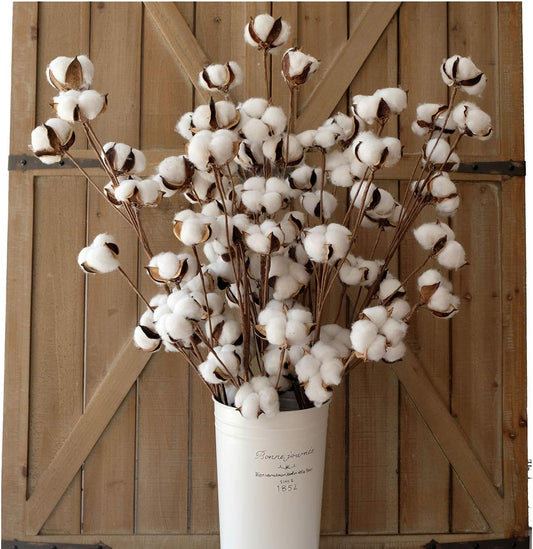 Cotton Stems Decor Branches, Cotton Flowers Plants for Decorations, Dried Flowers for Vase, Pack of 6-31 Inches Tall - 12 Bolls per Stem