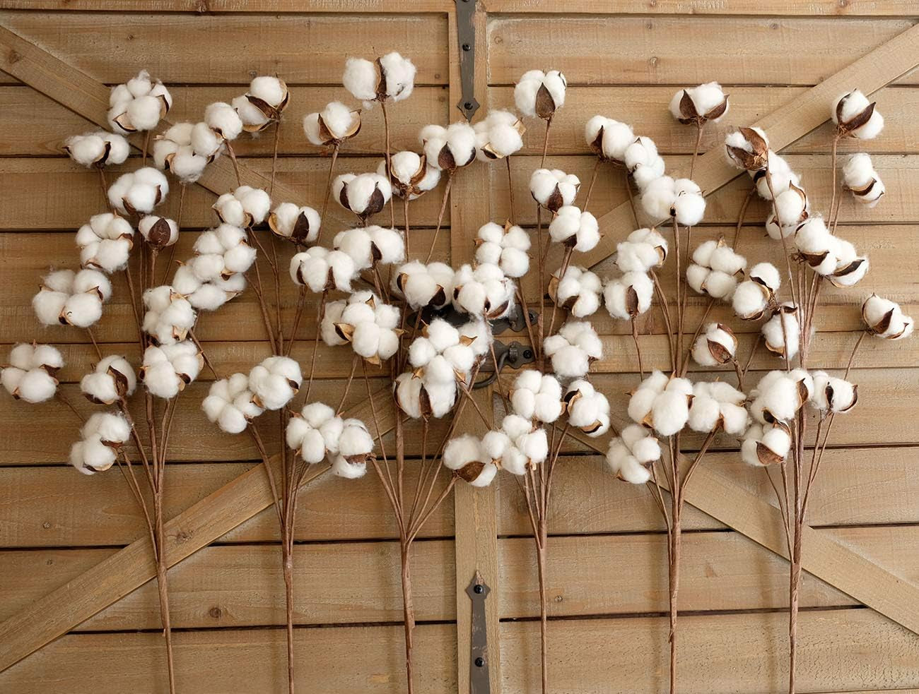 Cotton Stems Decor Branches, Cotton Flowers Plants for Decorations, Dried Flowers for Vase, Pack of 6-31 Inches Tall - 12 Bolls per Stem