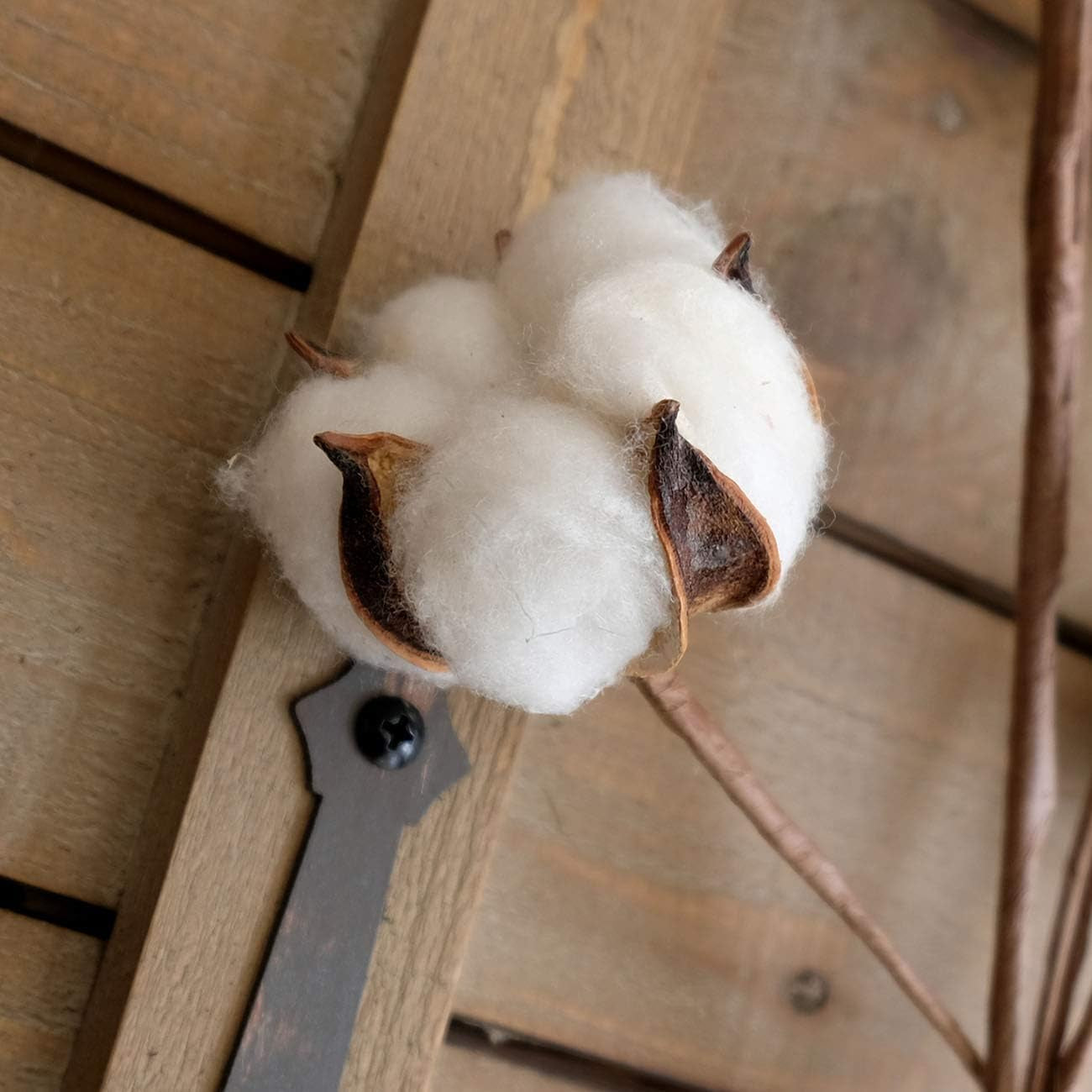 Cotton Stems Decor Branches, Cotton Flowers Plants for Decorations, Dried Flowers for Vase, Pack of 6-31 Inches Tall - 12 Bolls per Stem