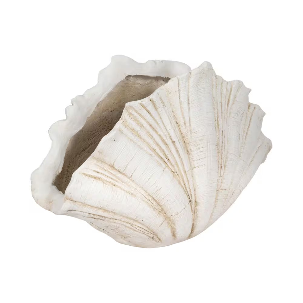 White 22 In. X 14 In. Resin Scallop Shell Figurine