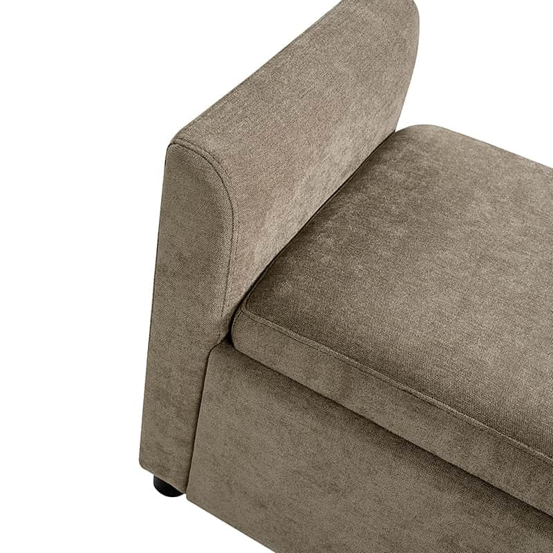 Benito 59.4" Wide End of Bed Storage Couch Bench with Two Throw Pillows