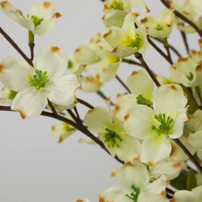 Artificial Flowers Blossom Stems Dogwood Silk Flowers Fake Cornus Bush for Home Decoration Table Centerpieces, 8 PCS (White)