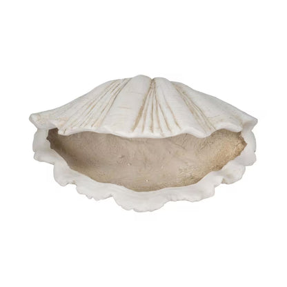 White 22 In. X 14 In. Resin Scallop Shell Figurine