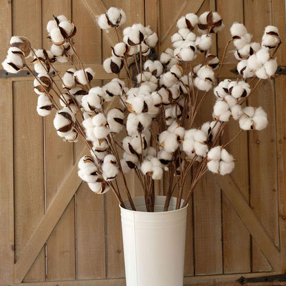 Cotton Stems Decor Branches, Cotton Flowers Plants for Decorations, Dried Flowers for Vase, Pack of 6-31 Inches Tall - 12 Bolls per Stem