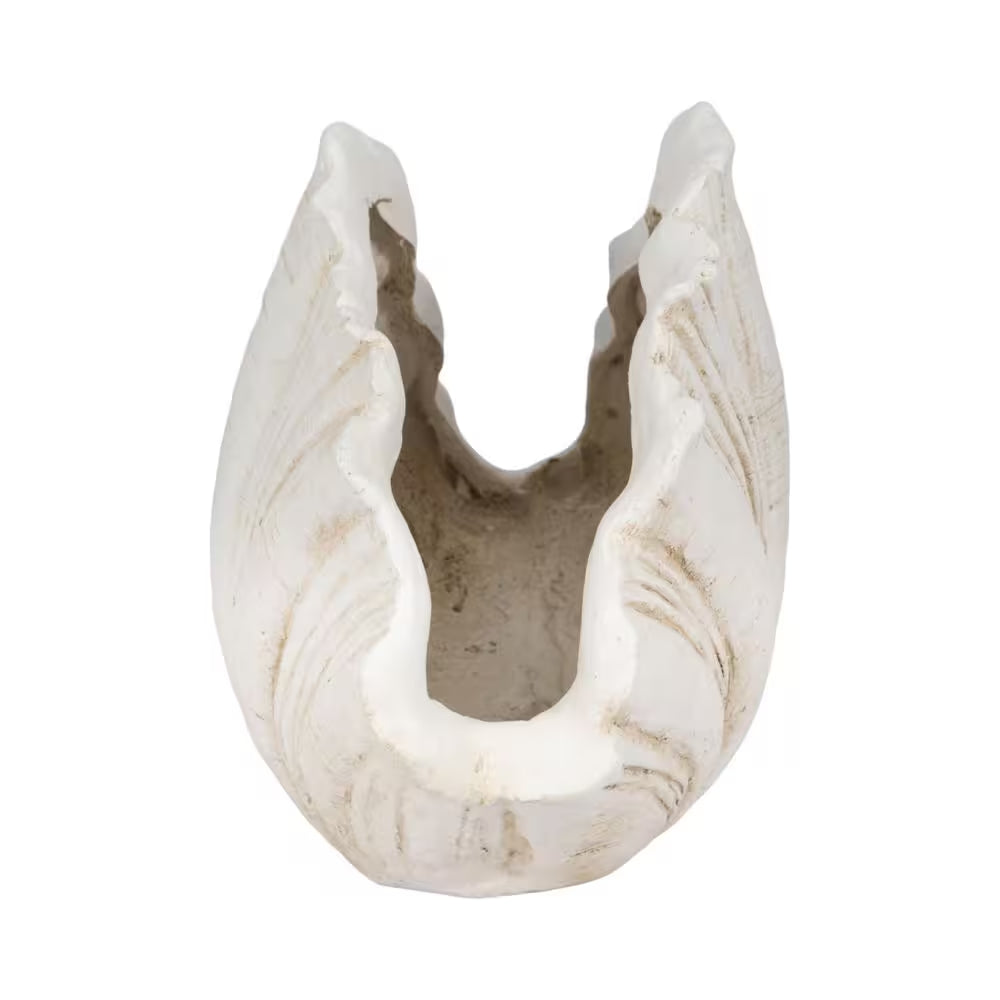 White 22 In. X 14 In. Resin Scallop Shell Figurine