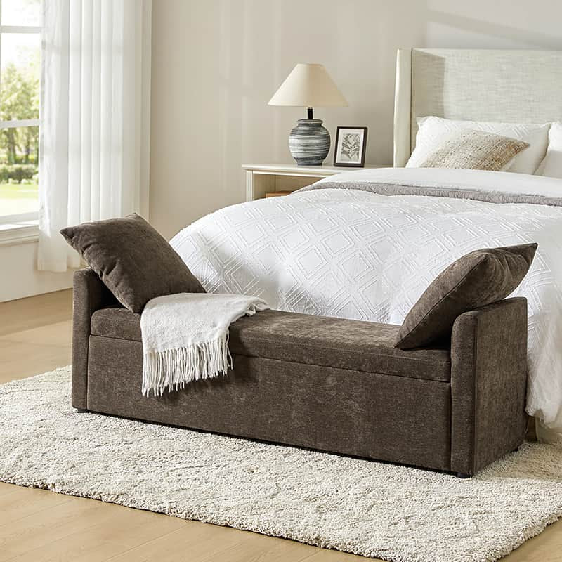 Benito 59.4" Wide End of Bed Storage Couch Bench with Two Throw Pillows