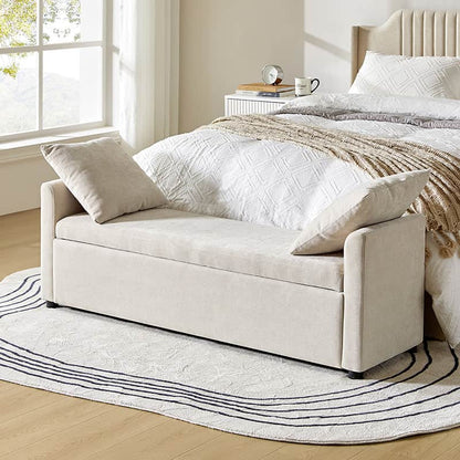 Benito 59.4" Wide End of Bed Storage Couch Bench with Two Throw Pillows