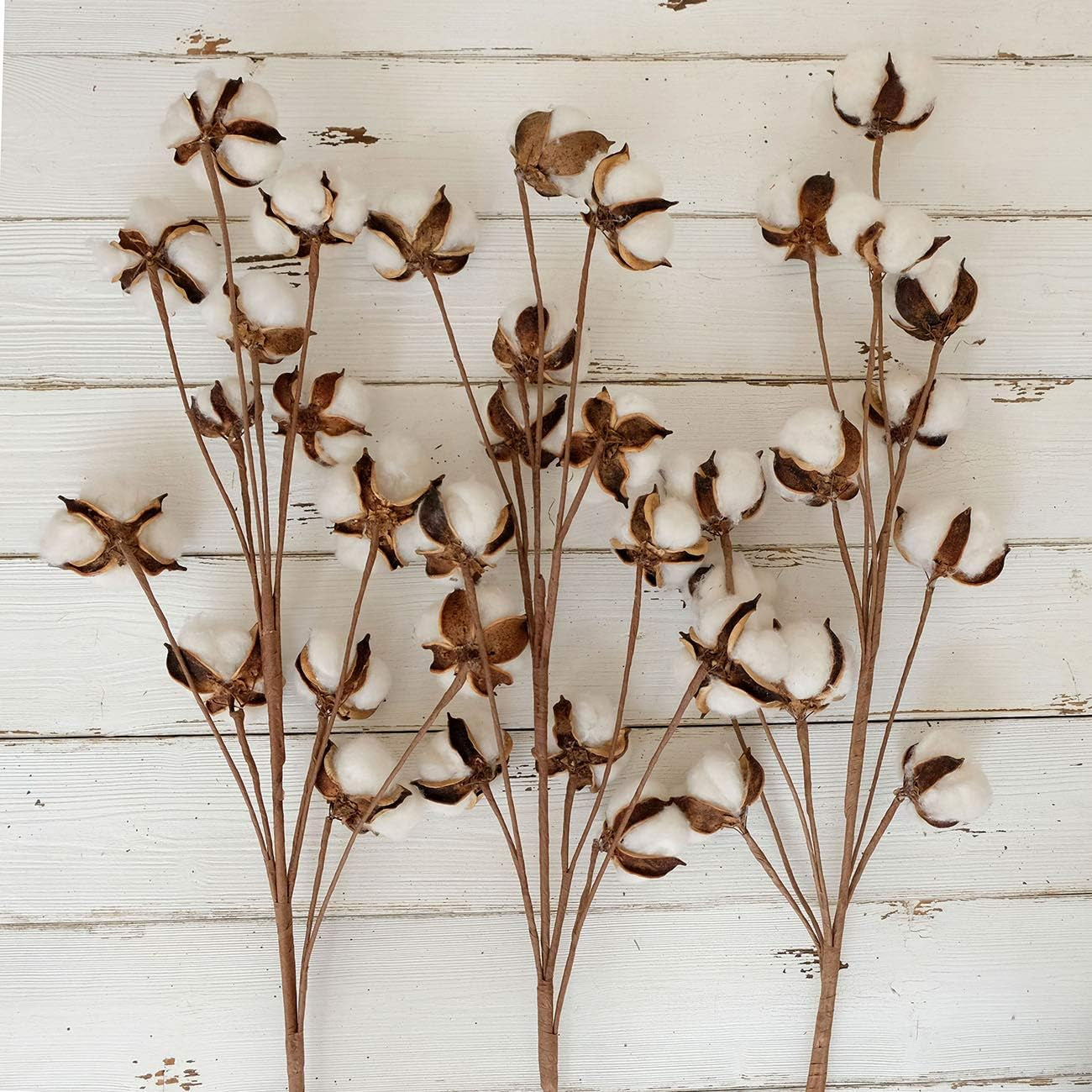 Cotton Stems Decor Branches, Cotton Flowers Plants for Decorations, Dried Flowers for Vase, Pack of 6-31 Inches Tall - 12 Bolls per Stem