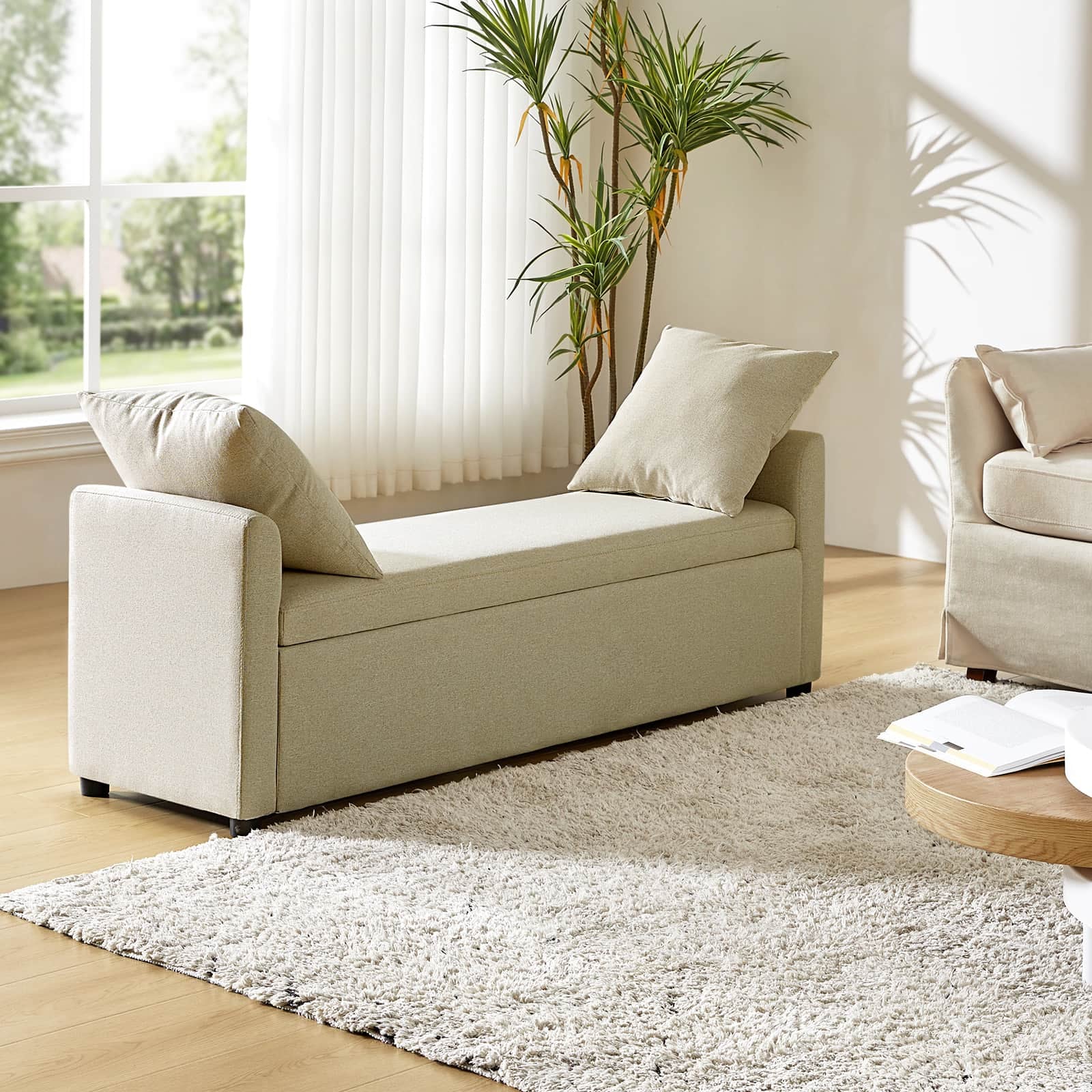 Benito 59.4" Wide End of Bed Storage Couch Bench with Two Throw Pillows